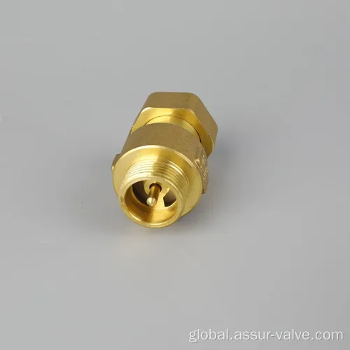 Brass Check Valves Check Valve for Angle Valve and Water Meter Supplier